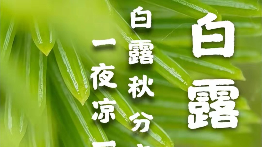 麻豆精品在线免费观看包装麻豆免费版下载厂家：白露到，秋渐深